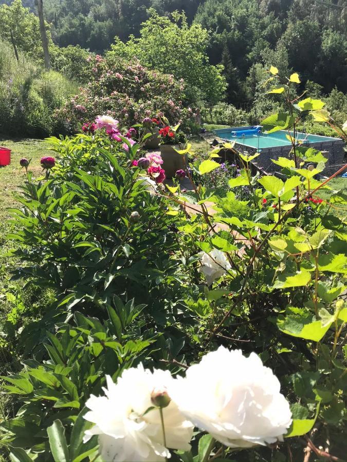 Séjour à la campagne Il Tulipano Polverara